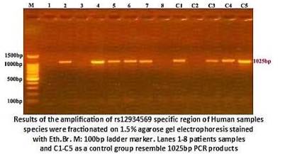 Evaluation of IL-18 and TNF-α in patients with Plasmodium vivax Malaria ...