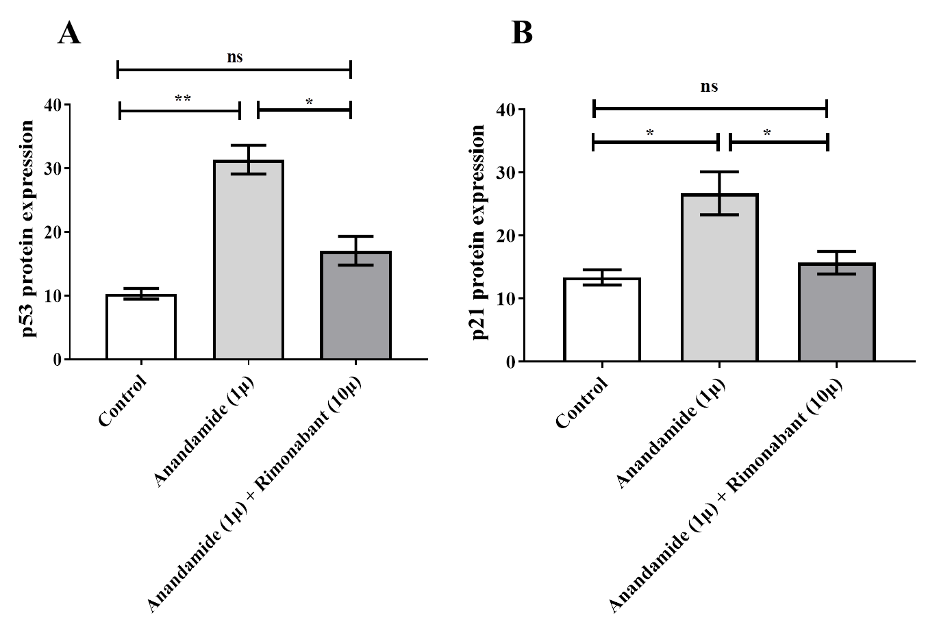 Modulation of p53 and p21 Genes Expression in Cardiovascular Cultured ...